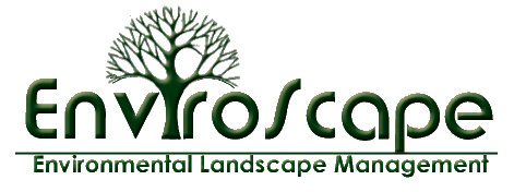 Aiken EnviroScape